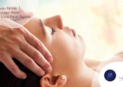Diplomado Master Reiki