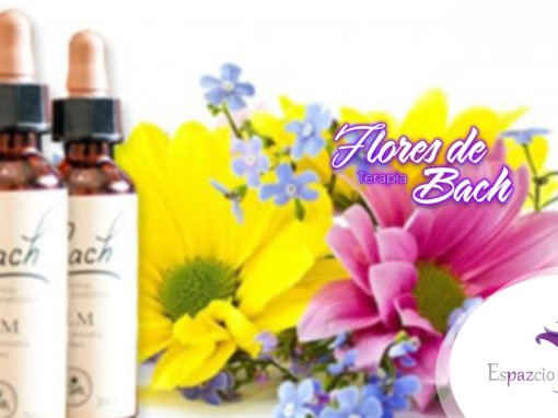 Flores de Bach