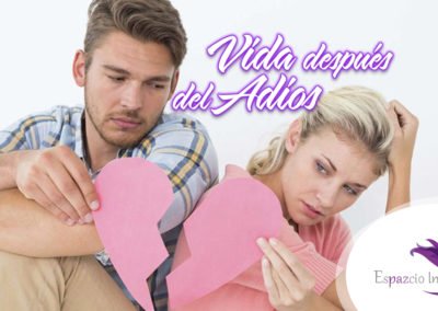 Vida después del adios
