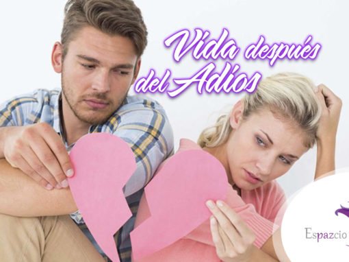 Vida después del adios