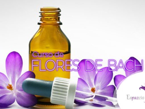 Terapeuta Floral